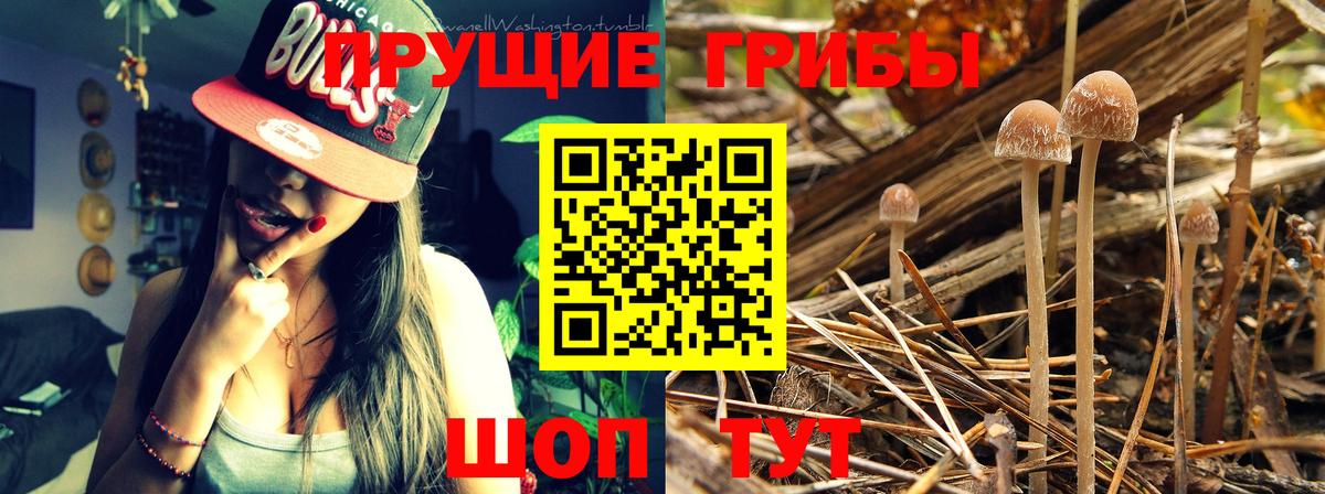 Галлюциногенные грибы прущие грибы Борзя