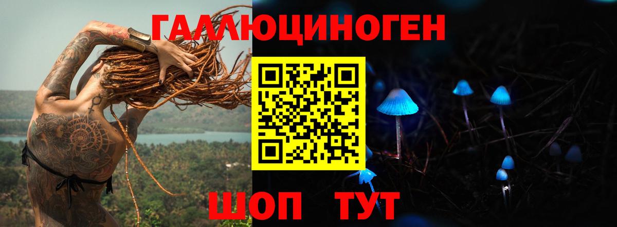 Борзя  Псилоцибиновые грибы мицелий  Вход с VPN 